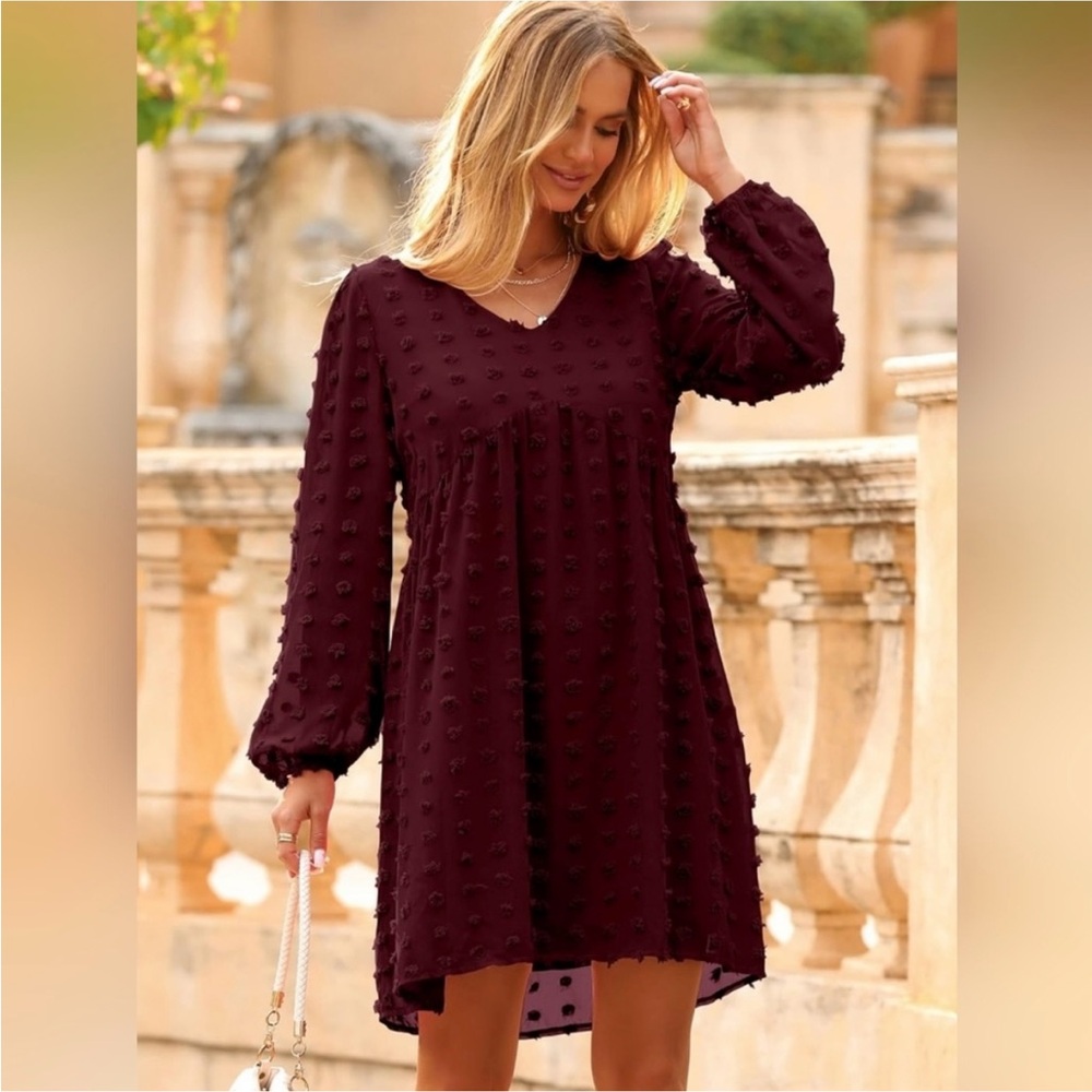 Chic Long Sleeve Burgundy Dress
